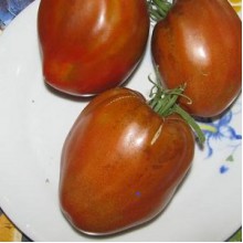 Редкие сорта томатов Сердце Мавра